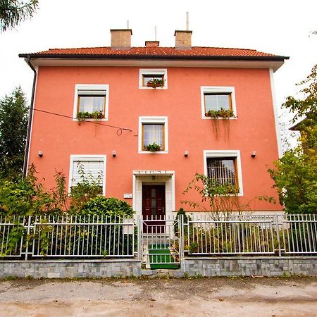 Guest House Pikapolonca Maribor Eksteriør billede