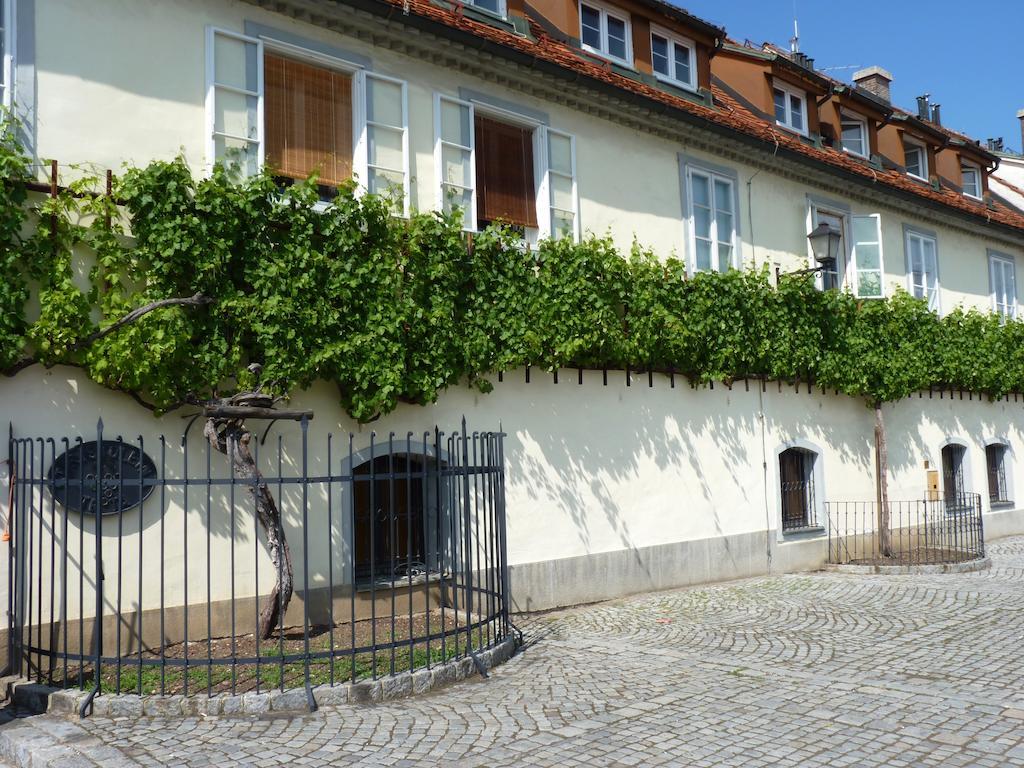 Guest House Pikapolonca Maribor Eksteriør billede